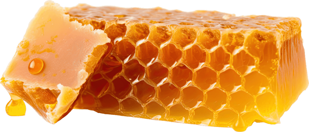 Mustard Flower Honey