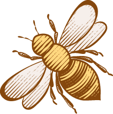 Mustard Flower Honey