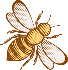 Mustard Flower Honey